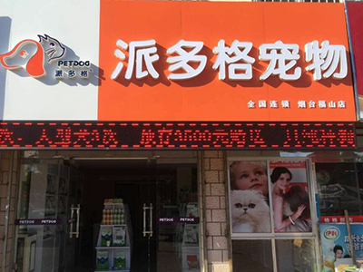 杭州开宠物店加盟怎么轻松赚钱
