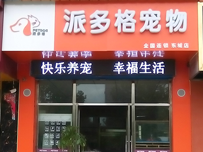 在上海开一家宠物加盟店利润大么